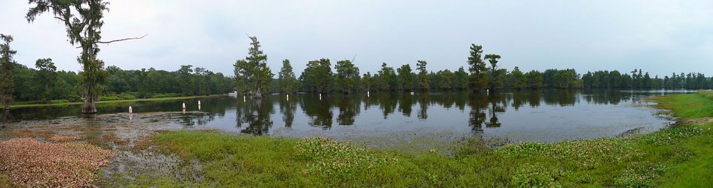 Lake Bistineau, Louisiana