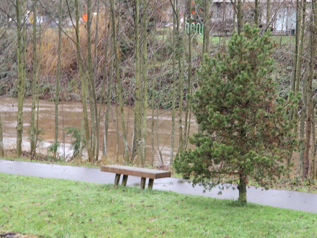 Almost flooding river