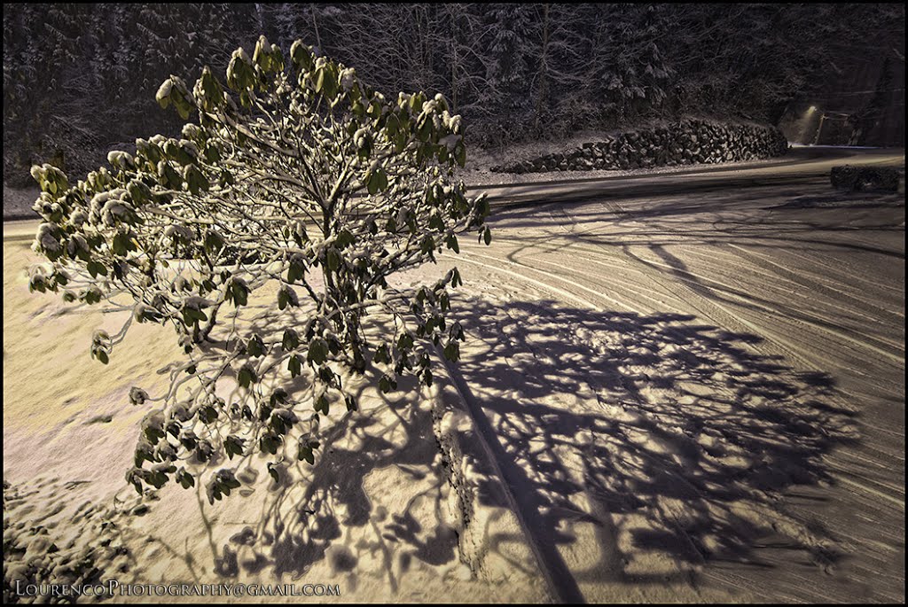 Let it snow...