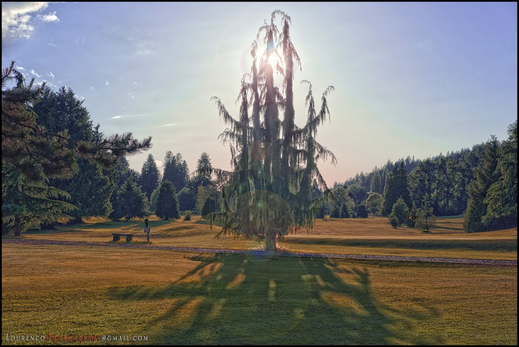 Bothell Wayne Golf Course Sunset