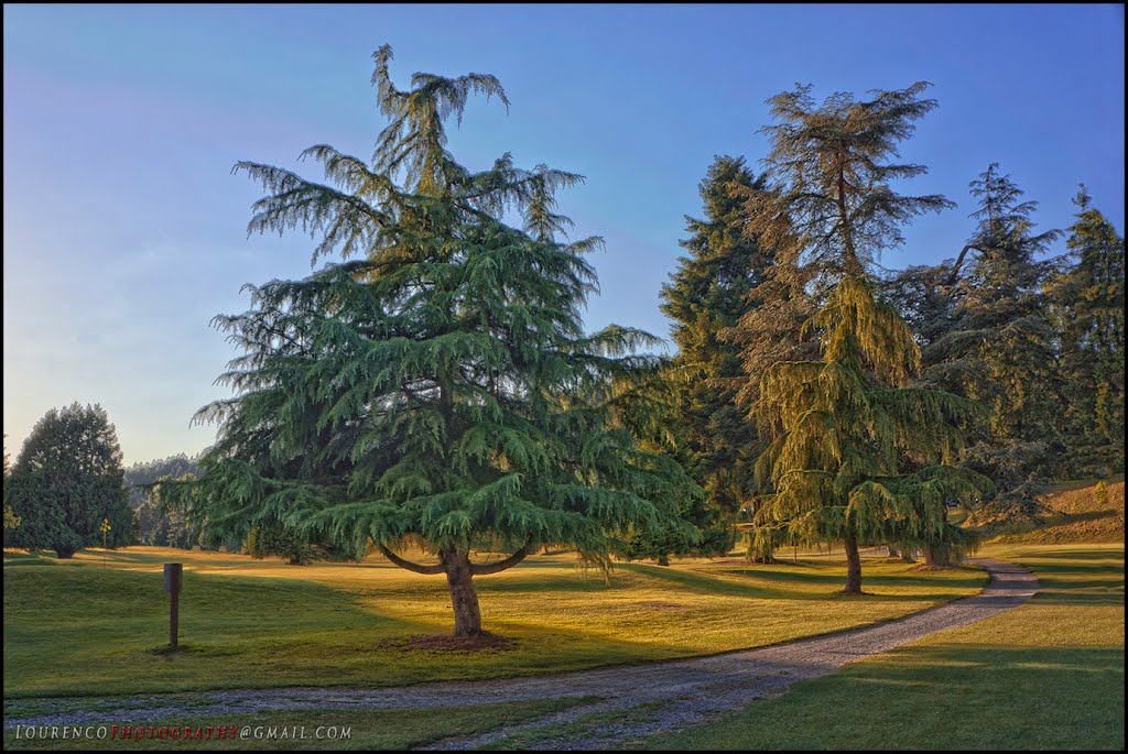Bothell Wayne Golf Course Sunset