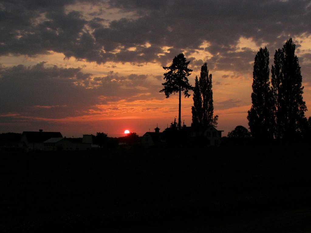 Farm in the City