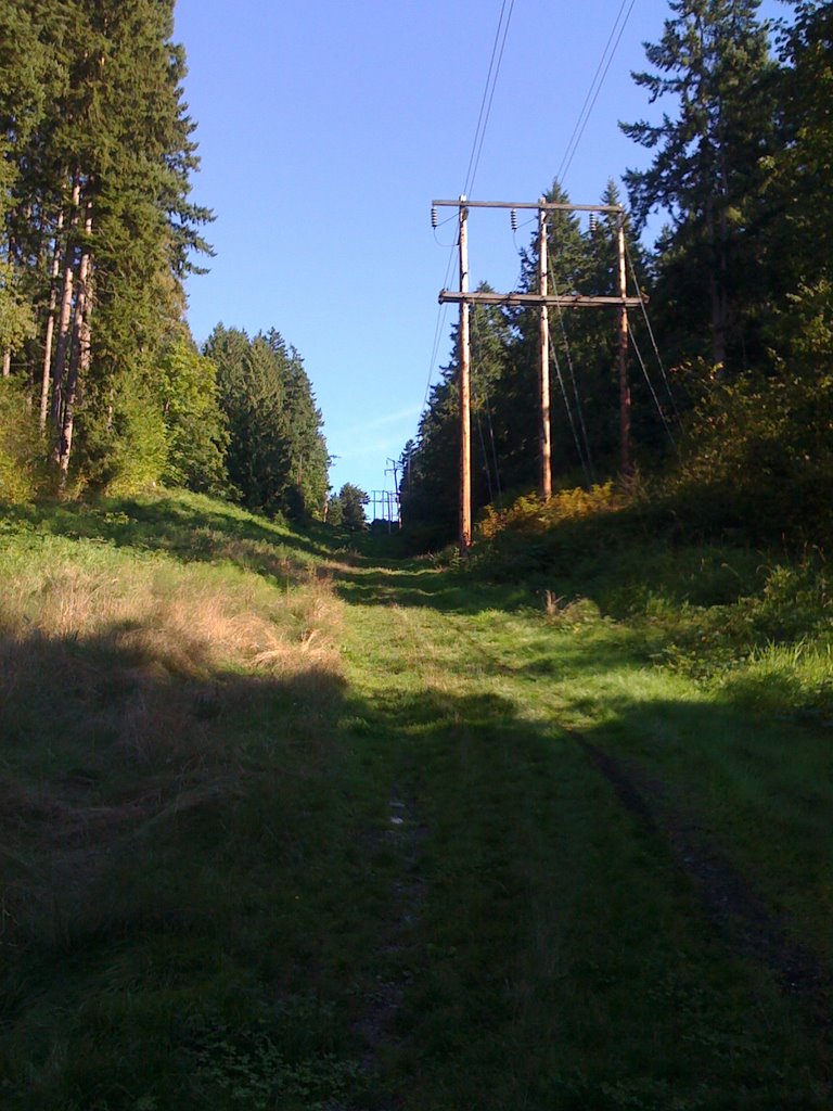 At the bottom of Norway Hill, Blyth Park