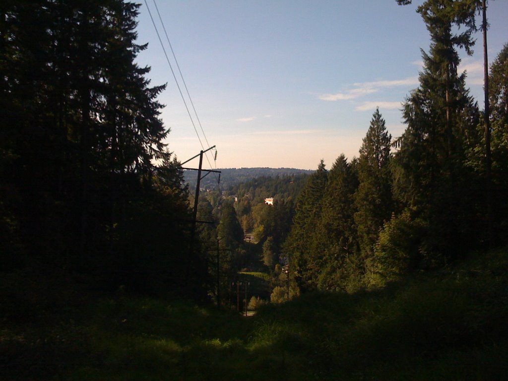 Midway up Norway Hill, looking west