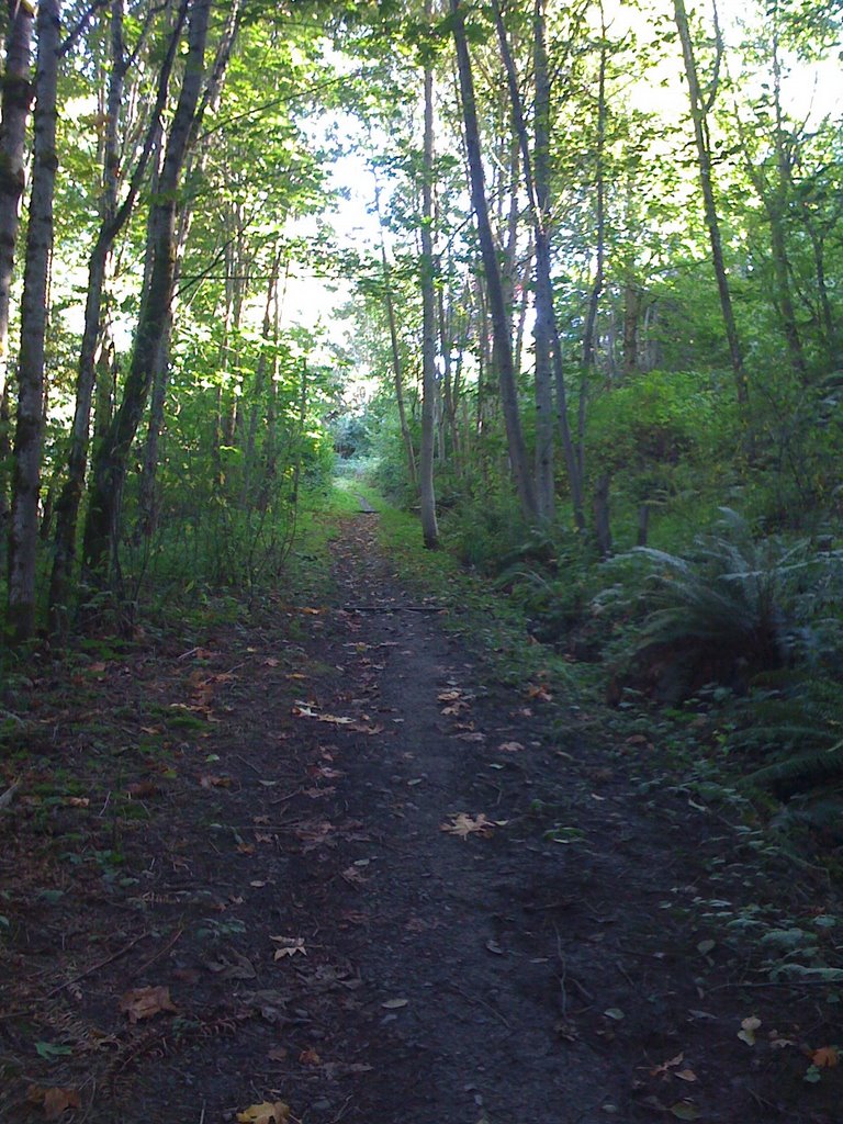 Along the greenbelt path near Blyth Park