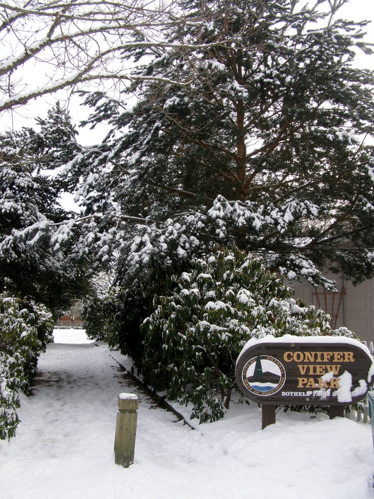 Conifer View Park Pathway