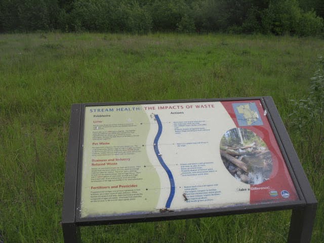 UW Bothell Wetland