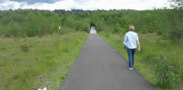 UW Bothell Wetland