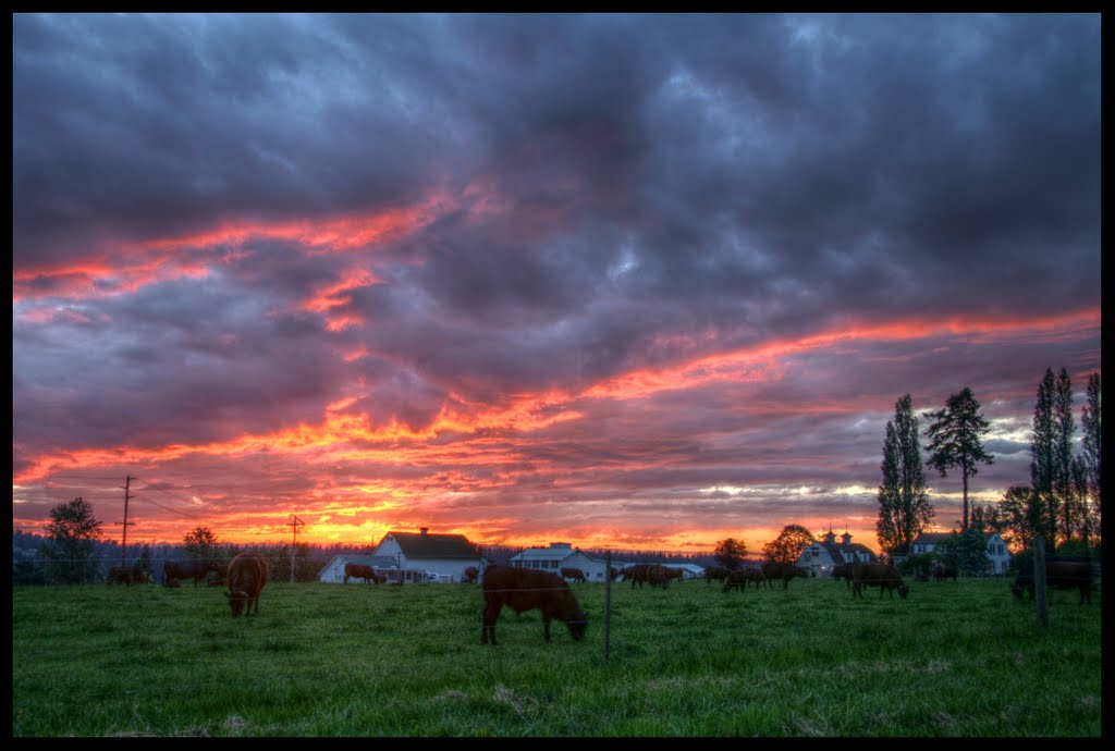 Farm Sunset