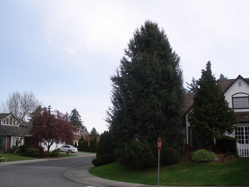 Neighbourhood landscaping WA