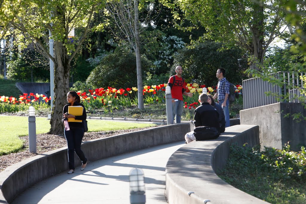 Campus