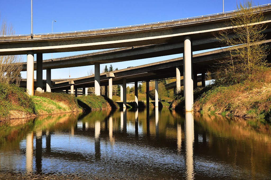 405/522 Interchange/Sammamish River