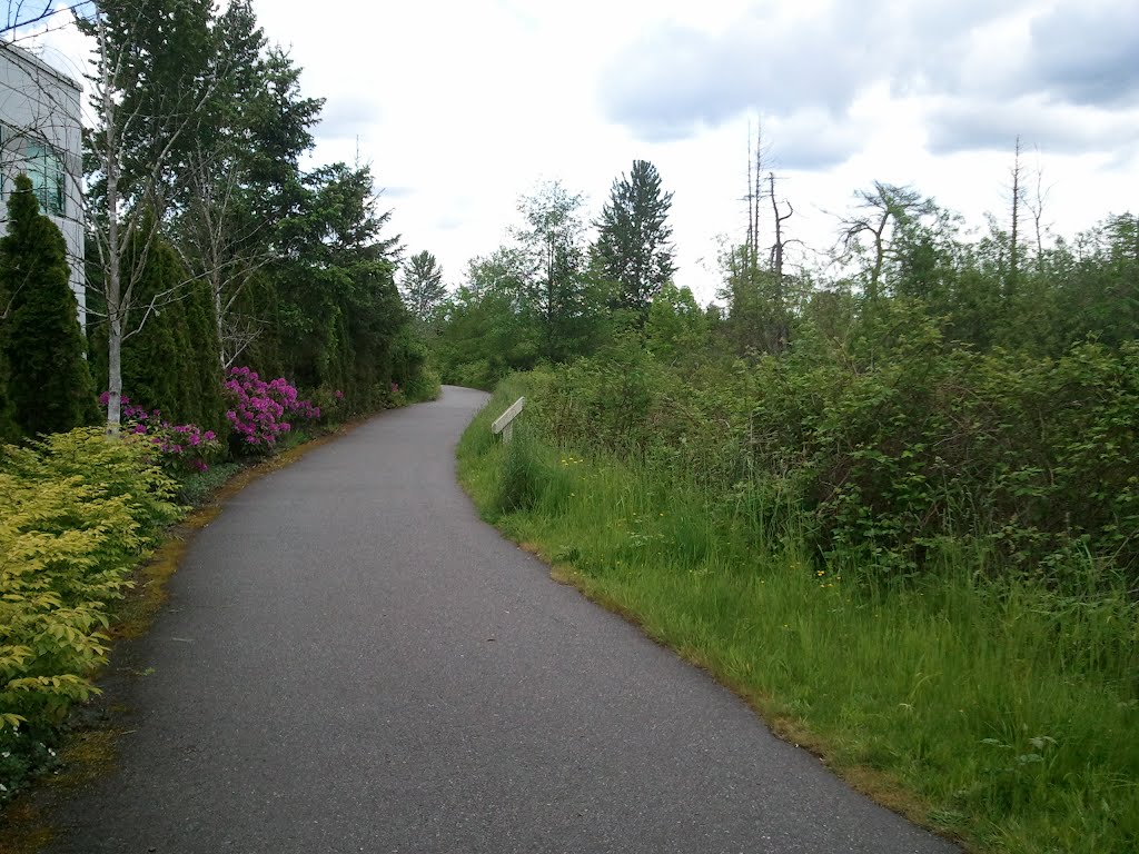 Flowers along the trail