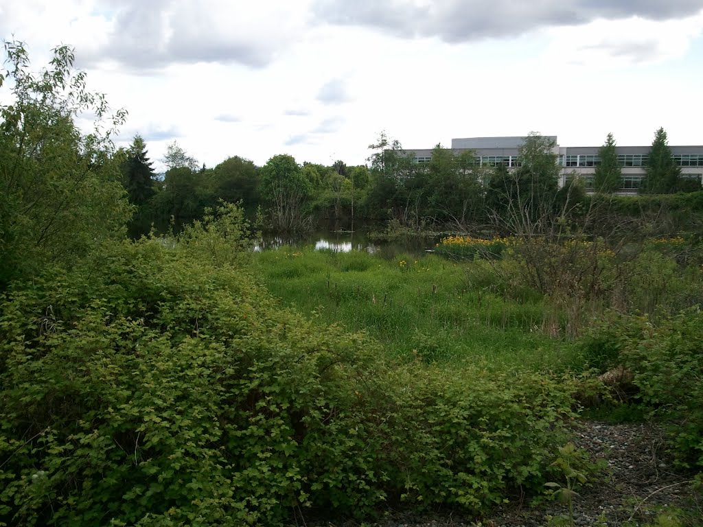 Lake by the trail