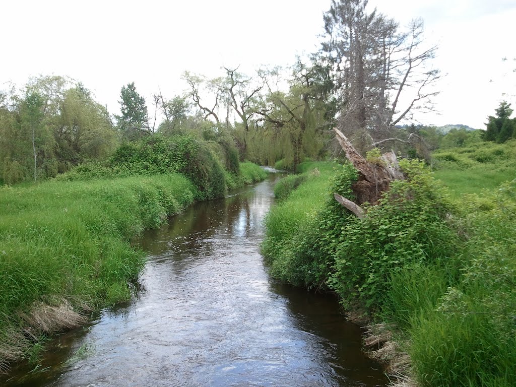 North Creek