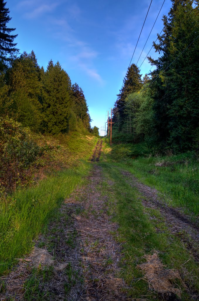 Tolt Pipeline Trail Eastward