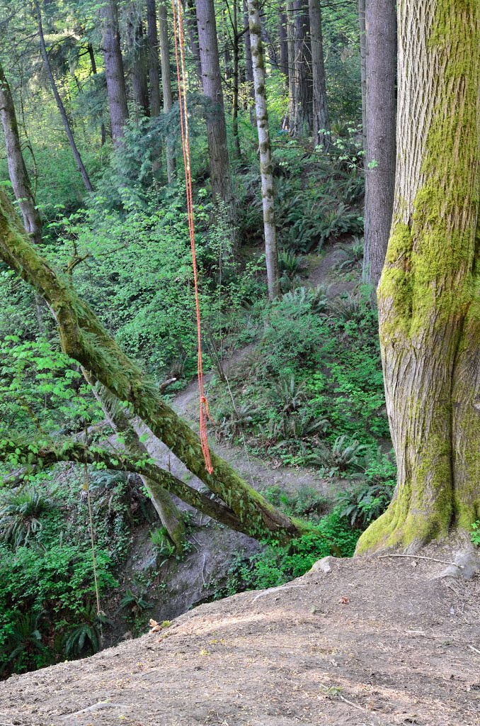 Climbing Rope and Path