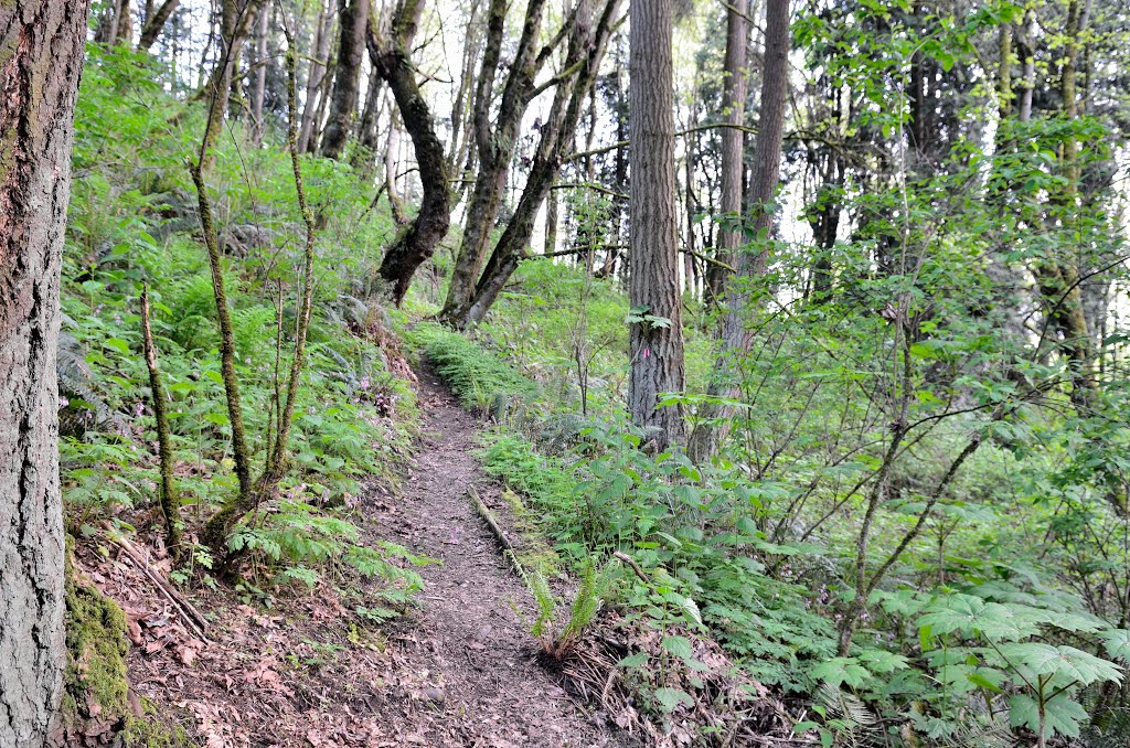 A Path
