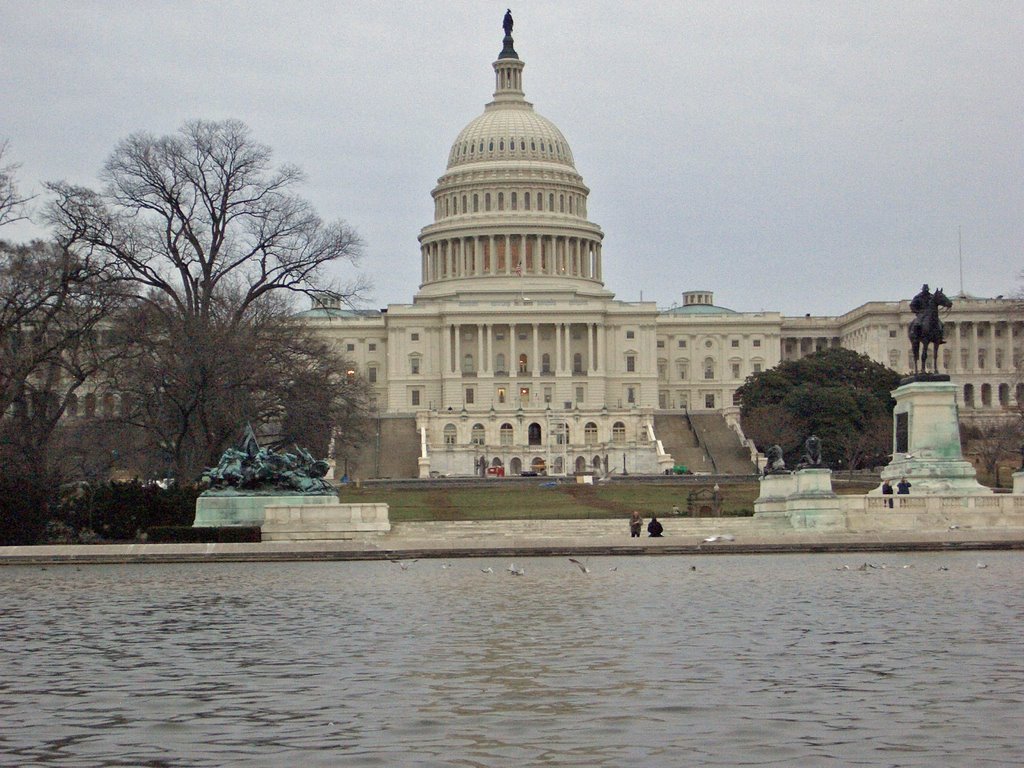 Washington D.C. Capitol