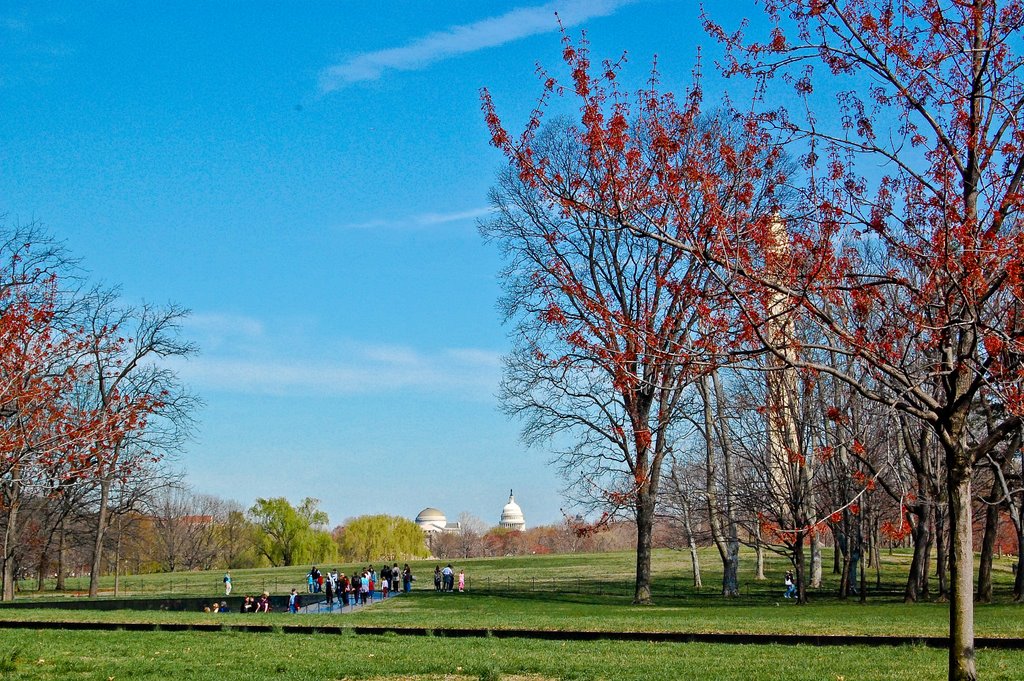 Sunday in Washington