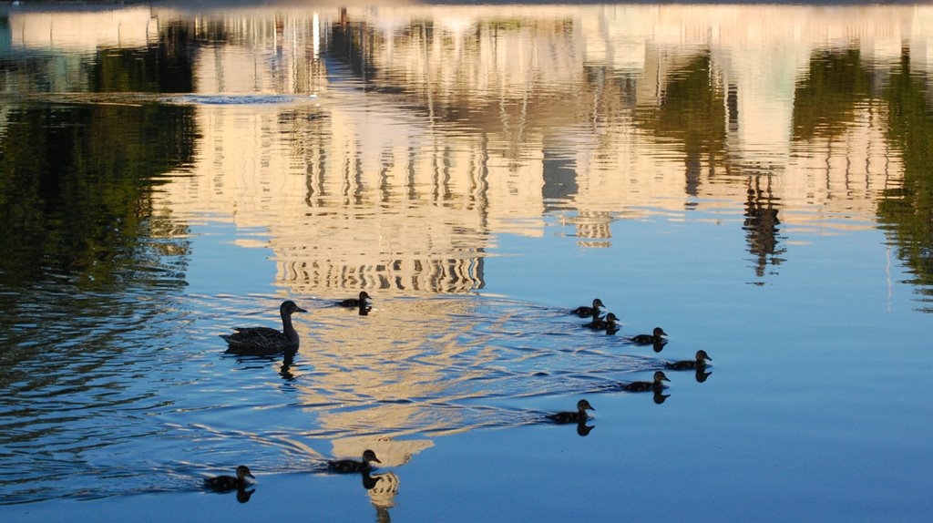 Capitol Lake