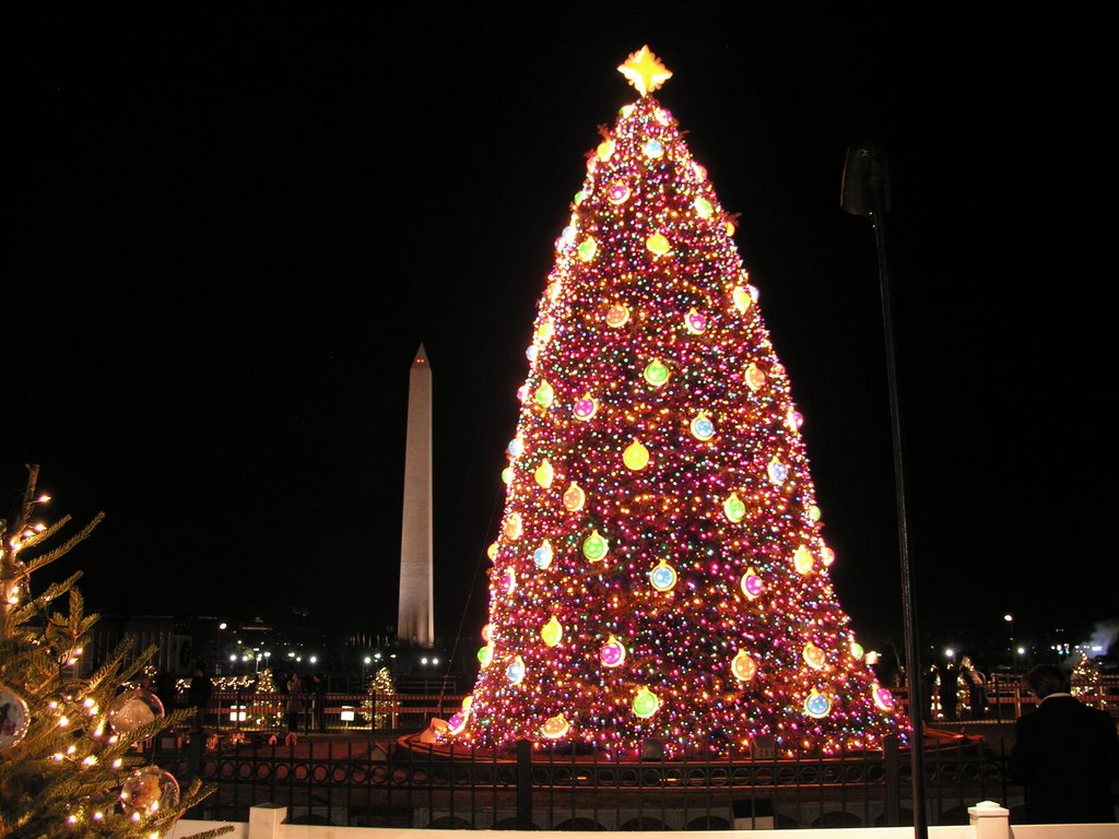 Big Christmas Tree