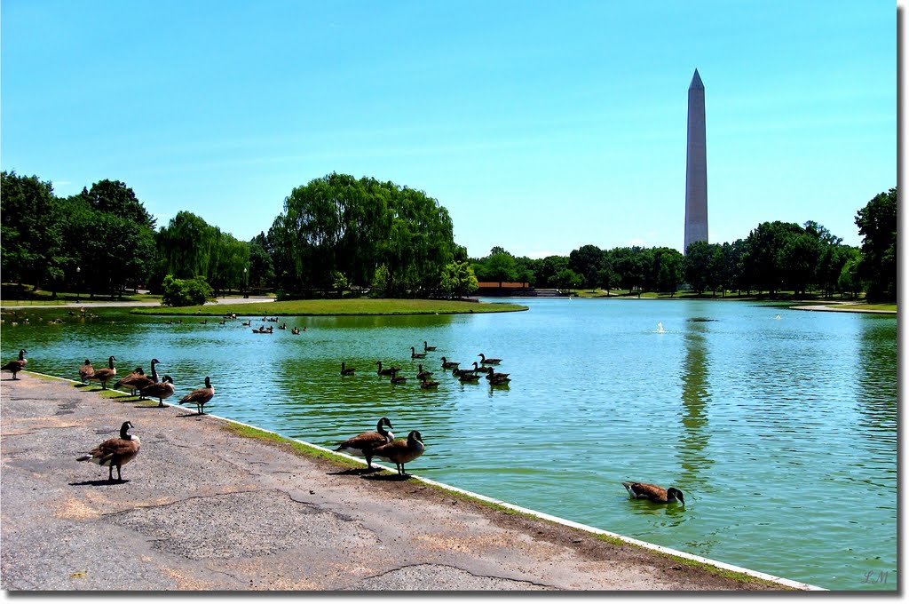 Washington Monument and Constitution Gardens Pond