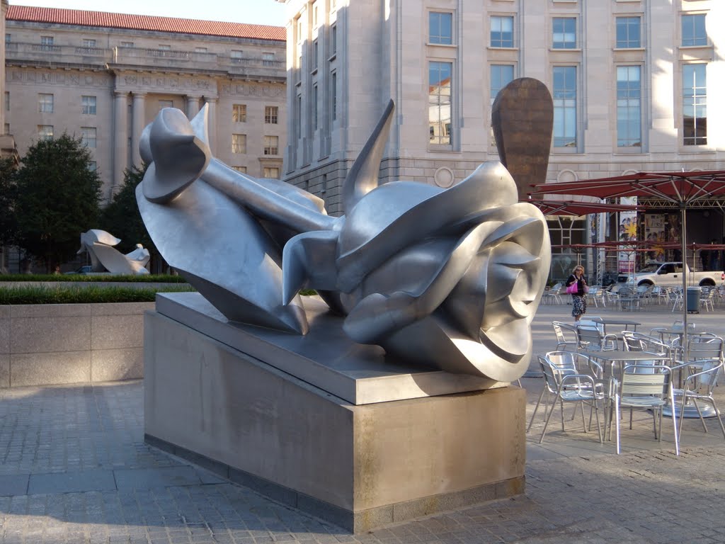 Washington, D.C. - Federal Triangle Flowers - Rose by Stephen Robin