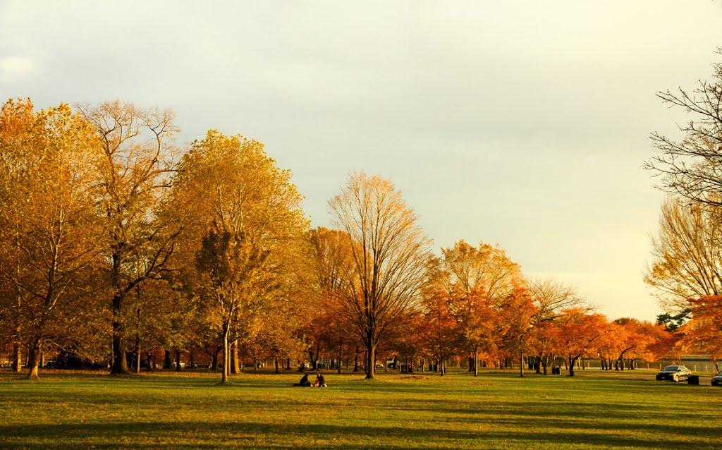 Cảnh Thu  (Autumn view)