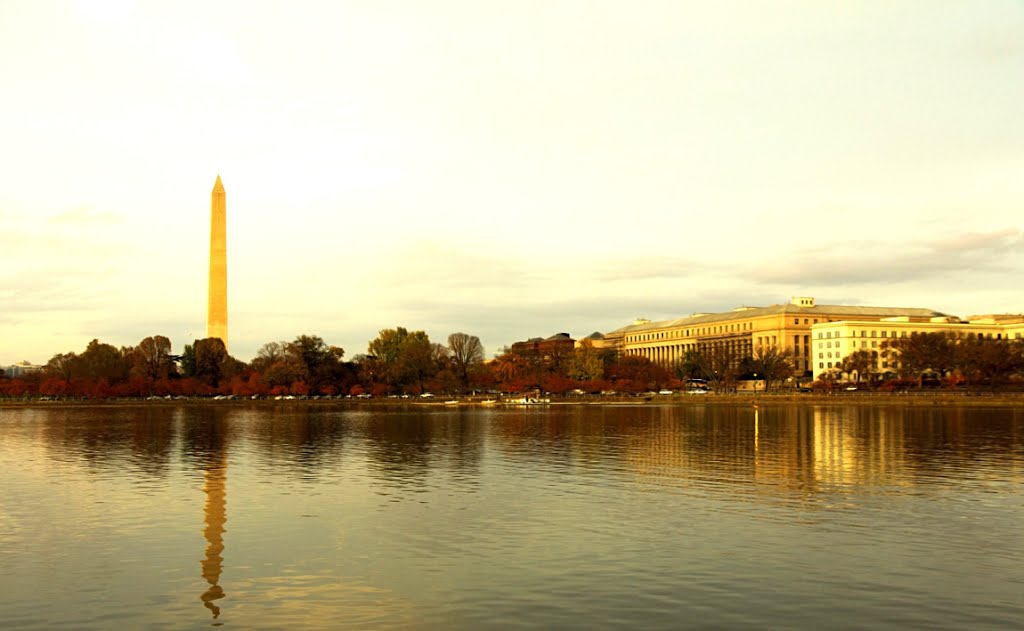 Bên hồ Tidal Basin  ( Tidal Basin lakeside)