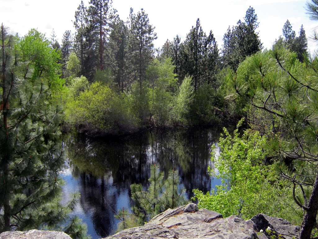 Dishmans Pond