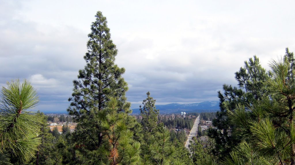 Looking Down 16th