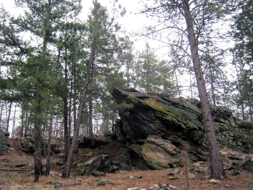 Cool Rocks in Dishman Hills