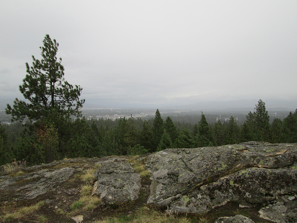 Rainy Day in Dishman