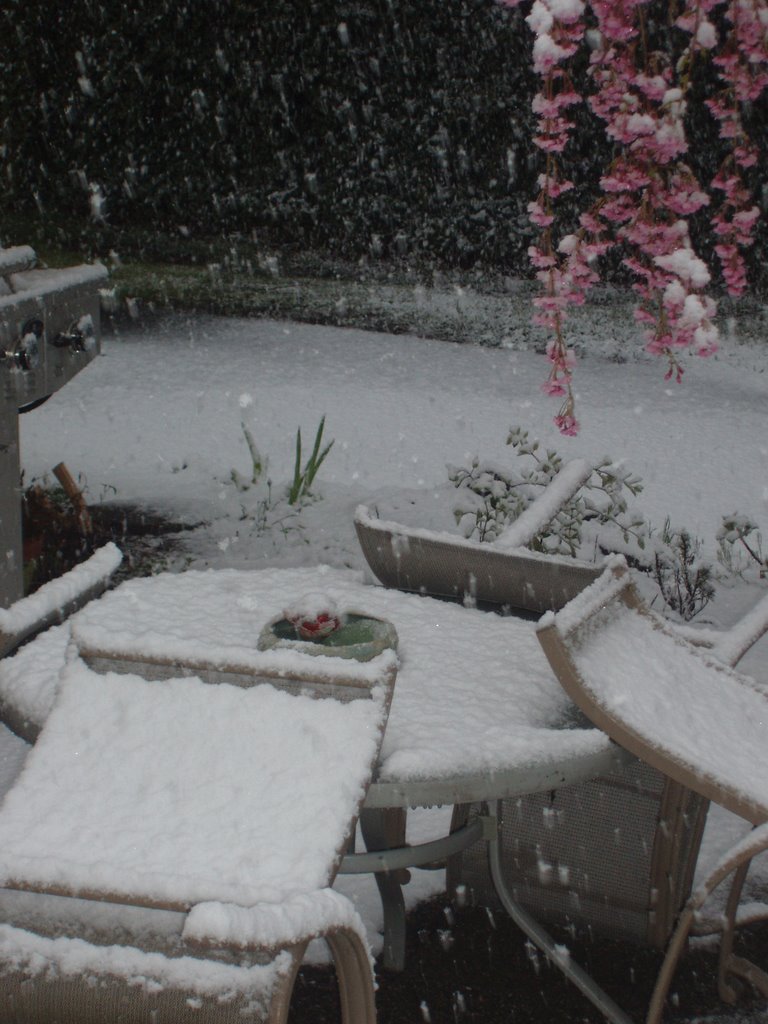 snow in april 2008