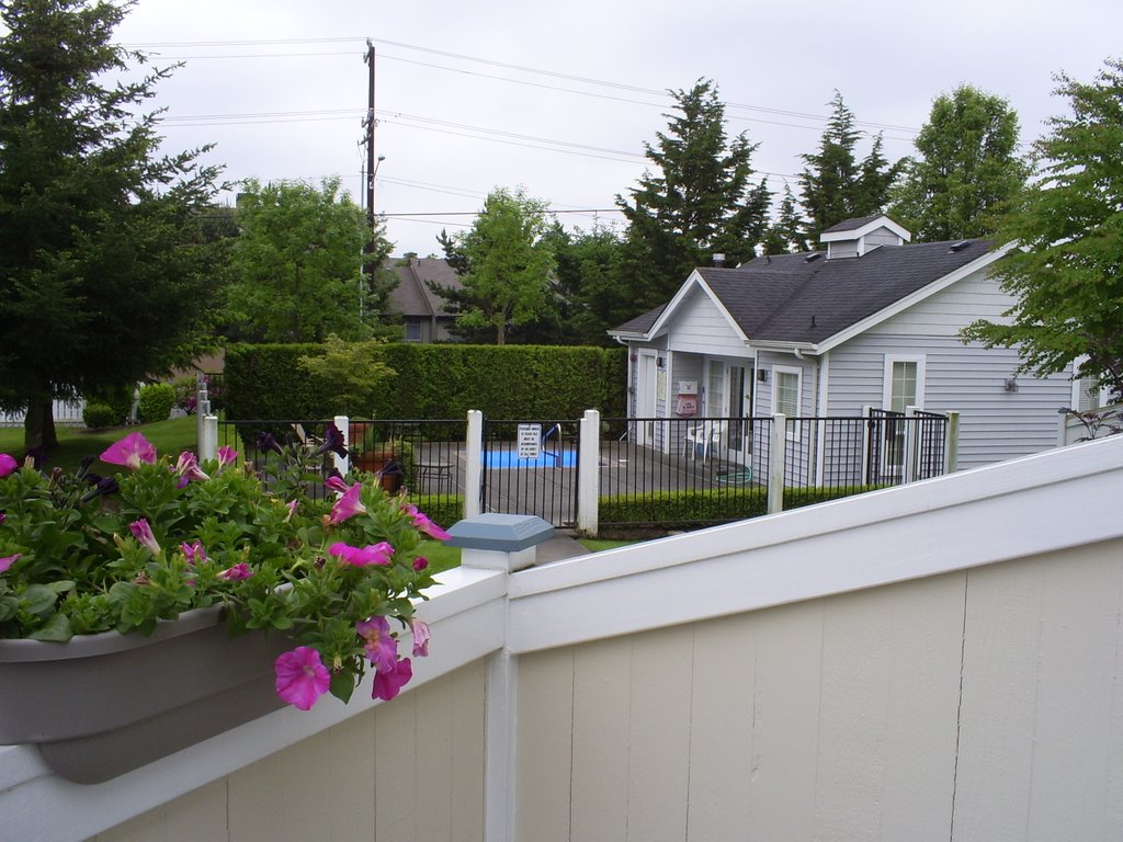 View of Holly Drive