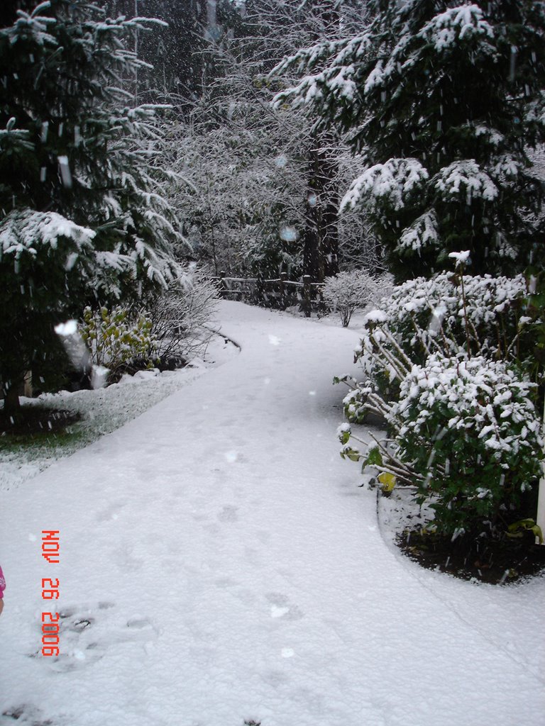 Snow in Everett