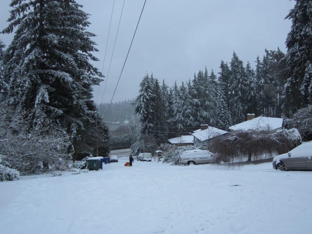 Winter on my street