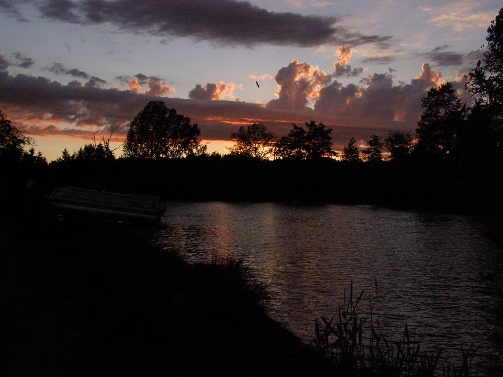 From the muddy banks of the Sammamish