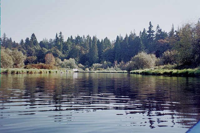 Samammish River