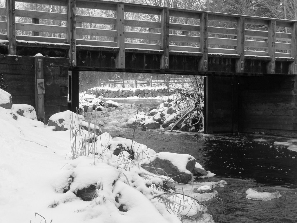 Wallace Swamp Creek Park