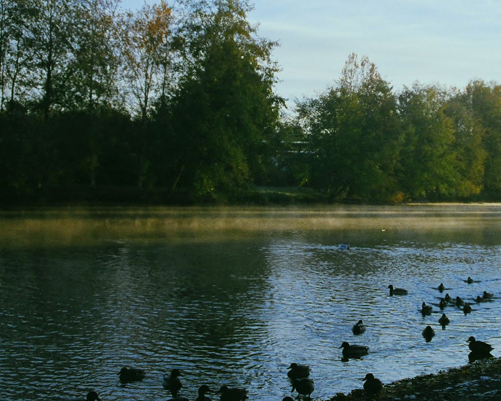 Morning on the slough
