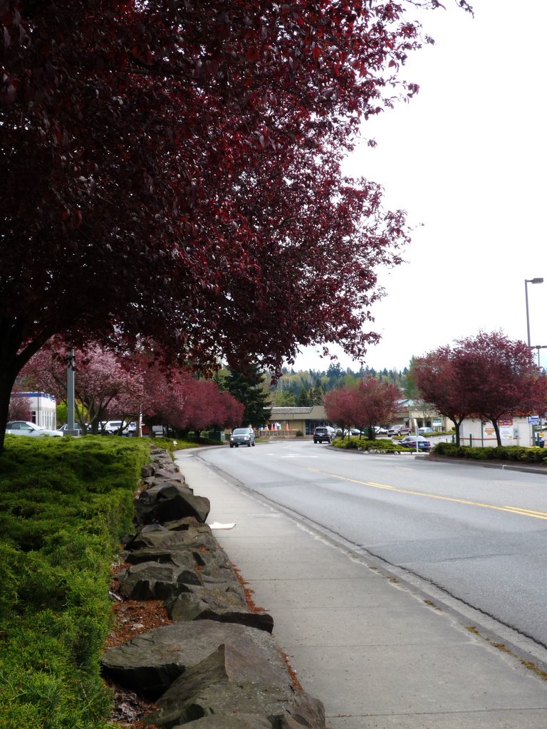 120th Ave NE in the area of the Totem Lake Mall