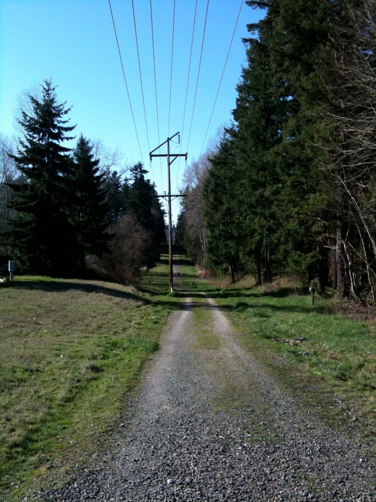 On the Tolt Pipeline Trail in Bothell