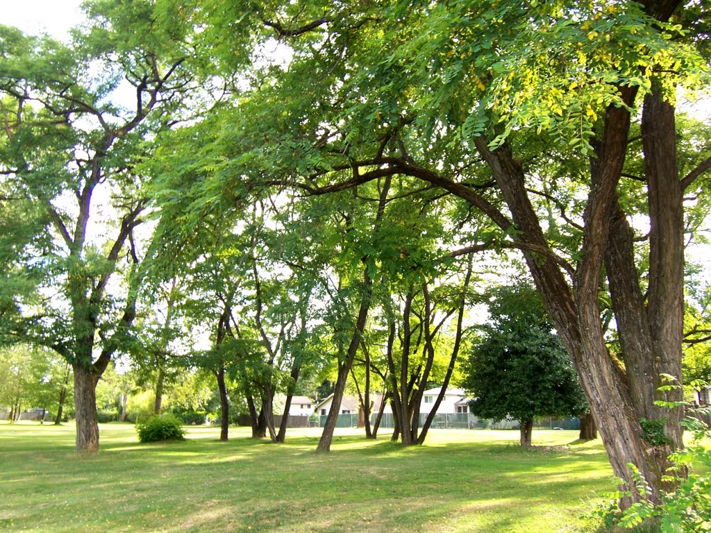 132nd Square Park, Kirkland Totem Lake