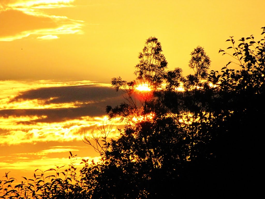 Sunrise at Zetron campus