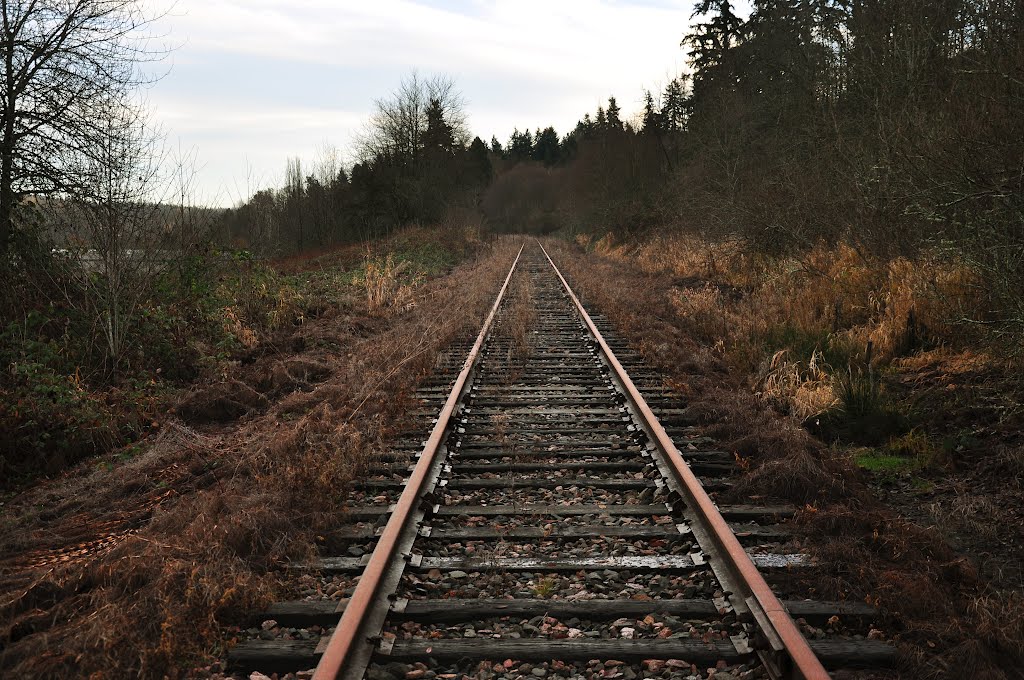 BNSF Abandoned Track