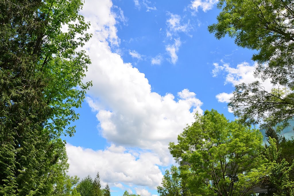 Spring cloud over Redmond, WA