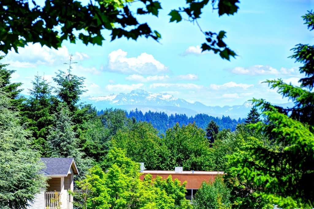 Spring mountain, view from Cedar Heights Apartments