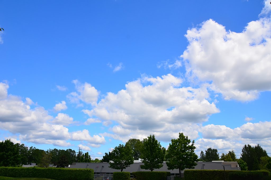 Spring cloud over Redmond, WA
